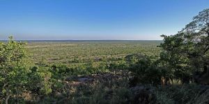 Botsalano Game Reserve