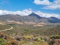 Kamiesberg Adventures