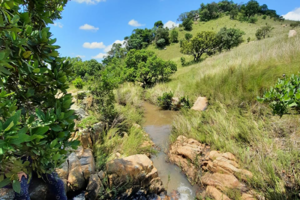 Blue Wildebeest Hiking Trail