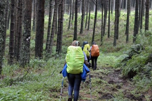 Magoebaskloof Hiking Trail
