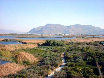 Rondevlei Nature Reserve