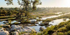 Sabi Sands Nature Reserve
