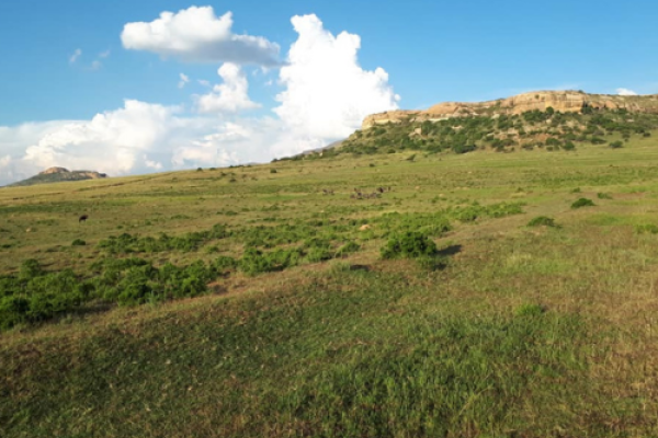 Holhoek Hiking Trail