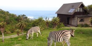 Hluleka Nature Reserve