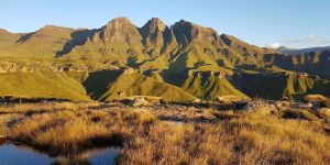 Bushman's Nek Nature Reserve