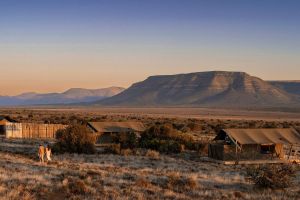 Samara Karoo Reserve