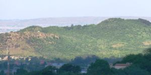 Faerie Glen Nature Reserve
